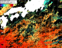 NOAA人工衛星画像:黒潮域, 1日合成画像(2025/09/14UTC)
