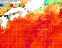 NOAA人工衛星画像:黒潮域, 1週間合成画像(2025/09/08～2025/09/14UTC)