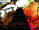 NOAA人工衛星画像:黒潮域, 1日合成画像(2025/09/17UTC)