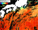 NOAA人工衛星画像:黒潮域, 1日合成画像(2025/09/18UTC)