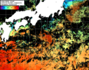 NOAA人工衛星画像:黒潮域, 1日合成画像(2025/09/28UTC)