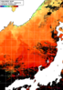 NOAA人工衛星画像:日本海, 1日合成画像(2025/10/02UTC)