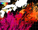 NOAA人工衛星画像:黒潮域, 1日合成画像(2025/10/05UTC)
