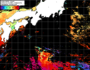 NOAA人工衛星画像:黒潮域, 1日合成画像(2025/10/10UTC)