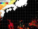 NOAA人工衛星画像:黒潮域, 1日合成画像(2025/10/11UTC)