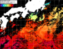 NOAA人工衛星画像:黒潮域, 1日合成画像(2025/10/18UTC)