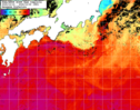 NOAA人工衛星画像:黒潮域, 1週間合成画像(2025/10/14～2025/10/20UTC)