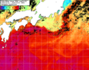 NOAA人工衛星画像:黒潮域, 1週間合成画像(2025/10/15～2025/10/21UTC)