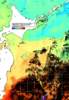 NOAA人工衛星画像:親潮域, 1週間合成画像(2025/11/02～2025/11/08UTC)