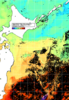 NOAA人工衛星画像:親潮域, 1週間合成画像(2025/11/03～2025/11/09UTC)