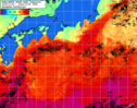 NOAA人工衛星画像:黒潮域, 1週間合成画像(2025/11/30～2025/12/06UTC)