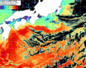 NOAA人工衛星画像:黒潮域, パス=20260114 00:20 UTC