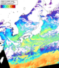 NOAA人工衛星画像:日本全域, パス=20260201 11:30 UTC