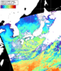 NOAA人工衛星画像:日本全域, パス=20260211 11:20 UTC