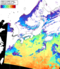 NOAA人工衛星画像:日本全域, パス=20260216 00:00 UTC