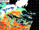 NOAA人工衛星画像:黒潮域, パス=20260219 01:20 UTC