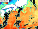 NOAA人工衛星画像:黒潮域, パス=20260221 23:40 UTC