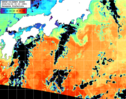 NOAA人工衛星画像:黒潮域, パス=20260222 00:10 UTC