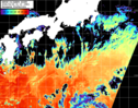 NOAA人工衛星画像:黒潮域, パス=20260224 01:10 UTC