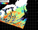 NOAA人工衛星画像:黒潮域, パス=20260228 00:50 UTC