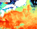 NOAA人工衛星画像:黒潮域, 1日合成画像(2026/03/04UTC)