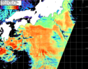 NOAA人工衛星画像:黒潮域, パス=20260305 00:50 UTC