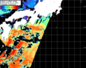 NOAA人工衛星画像:黒潮域, パス=20260309 01:10 UTC