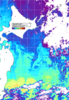 NOAA人工衛星画像:親潮域, 1日合成画像(2026/03/19UTC)