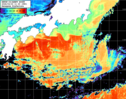 NOAA人工衛星画像:黒潮域, パス=20260323 11:30 UTC