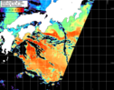 NOAA人工衛星画像:黒潮域, パス=20260324 01:00 UTC