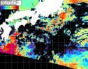 NOAA人工衛星画像:黒潮域, パス=20260420 00:30 UTC