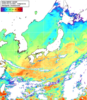 NOAA人工衛星画像:日本全域, 1日合成画像(2026/05/15UTC)