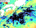 NOAA人工衛星画像:黒潮域, 1日合成画像(2026/05/19UTC)