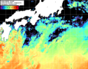 NOAA人工衛星画像:黒潮域, 1日合成画像(2026/05/20UTC)