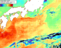 NOAA人工衛星画像:黒潮域, 1日合成画像(2026/05/30UTC)