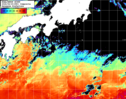 NOAA人工衛星画像:黒潮域, 1日合成画像(2026/06/20UTC)