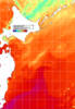 NOAA人工衛星画像:親潮域, 1日合成画像(2026/08/08UTC)