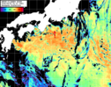 NOAA人工衛星画像:黒潮域, パス=20260809 00:10 UTC
