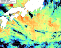 NOAA人工衛星画像:黒潮域, 1日合成画像(2026/08/10UTC)