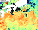 NOAA人工衛星画像:黒潮域, 1日合成画像(2026/08/12UTC)
