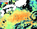 NOAA人工衛星画像:黒潮域, パス=20260813 12:10 UTC