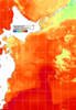 NOAA人工衛星画像:親潮域, 1日合成画像(2026/08/14UTC)