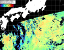 NOAA人工衛星画像:黒潮域, パス=20260815 11:00 UTC