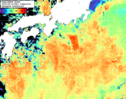 NOAA人工衛星画像:黒潮域, 1日合成画像(2026/08/15UTC)