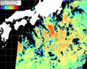 NOAA人工衛星画像:黒潮域, パス=20260815 23:50 UTC