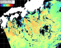 NOAA人工衛星画像:黒潮域, パス=20260816 10:40 UTC