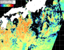 NOAA人工衛星画像:黒潮域, パス=20260817 01:10 UTC