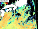 NOAA人工衛星画像:黒潮域, パス=20260817 12:30 UTC