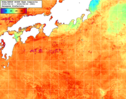 NOAA人工衛星画像:黒潮域, 1週間合成画像(2026/08/16～2026/08/22UTC)