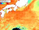 NOAA人工衛星画像:黒潮域, 1日合成画像(2026/08/24UTC)